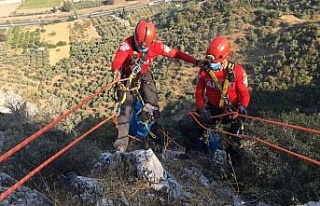 Bir haftadır kayalıklarda mahsur kalan koyun kurtarıldı