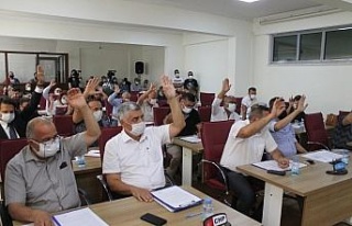 Efeler Belediyesi, kadına şiddete dikkat çekecek
