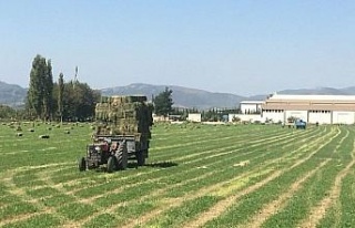 Germencik Belediyesi’nden üreticiye katkı