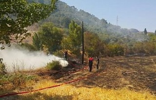Söke’deki yangında 10 dönüm zirai alan zarar...
