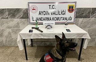 Aydın’da uyuşturucuya geçit verilmiyor