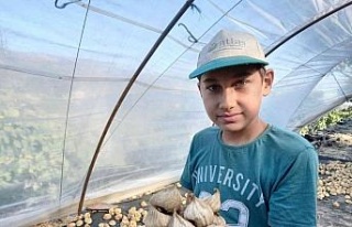 Dünya kuru incirin müptelası oluyor