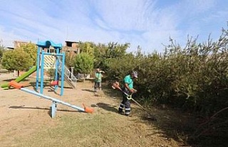 Efeler Belediyesi kent genelinde yeşil alan bakım...