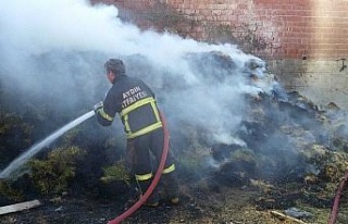 Germencik’te samanlık yangını