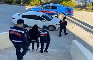 JASAT Aydın’da 15 günde 378 şüpheliyi yakaladı