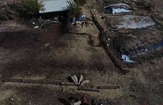 Kaybolan koyunlar drone ile bulundu