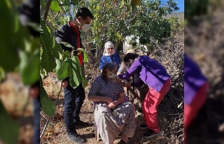 Kovid-19 savaşçıları aşı hizmetini Aydınlıların...