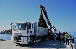 Kuşadası Körfezi’nden 40 metre “Hayalet Ağ”...