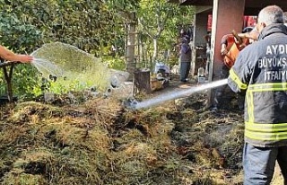 Samanların depolandığı alanda çıkan yangın...