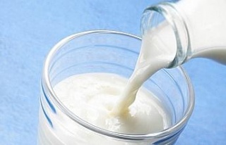 Aydın’da 13 bin 285 üreticiye çiğ süt destekleme...