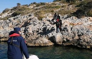 Aydın’da 4 düzensiz göçmen kurtarıldı