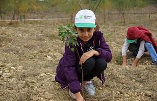 Aydın’da fidan dikim noktaları belli oldu