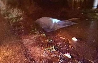 Aydın’da trafik kazası: 1 ölü