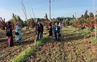 Aydınlı kadın çiftçilerden proje gezisi