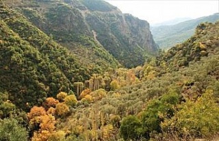 EKODOSD’ tan, Koçak Kanyonu için koruma çağrısı