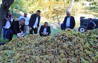 Kestanede sezon finalini Kaymakam yaptı