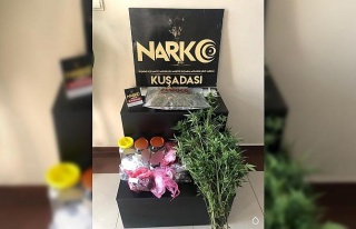 Kuşadası’nda hint keneviri operasyonu: 1 tutuklama