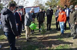 Milli ağaçlandırma gününde Didim’de fidan dikimi...