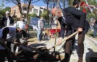 Milli Ağaçlandırma Günü’nde Kuyucak’ta fidanlar...