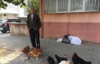 Organik beslenmek isteyenler için 10 yıldır köy...