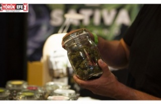 Avrupa Birliği'nde ilk: Malta'da esrar...