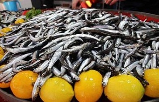 Aydın’da balık tezgahlarının yıldızı ’hamsi’...