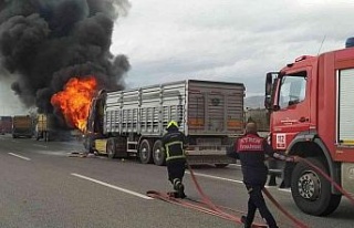 Aydın’da kamyona çarpan tır alev aldı