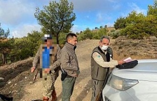 Aydın’da kanunsuz ava geçit yok