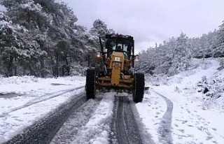 Aydın’da kar yağışı etkili oldu