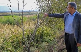 Başkan Güler’den Köşk arıtma tesisi açıklaması