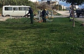 Didim’de yeşil alanların bakımı sürüyor