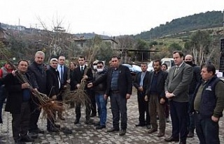 Karacasu’da yangın bölgesine milyonluk destek