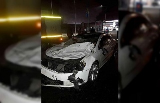 Karayolundaki başı boş atlar kazaya neden oldu