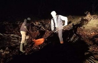 Kestane fiyatları yüzde yüz zamlanınca kestaneciler...