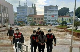 Kitaplığın arkasındaki gizli odada yakalandı