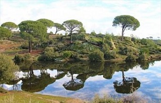 Madran Dağı’nın güzelliği görenleri hayran...