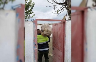 Nazilli Belediyesi, 617 aileye yakacak yardımında...