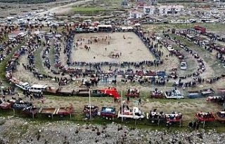 Pehlivan develer kozlarını Buharkent’te paylaştı