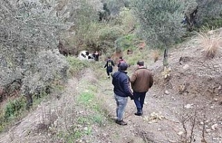 Uçuruma yuvarlanan araçtaki sürücüyü itfaiye...