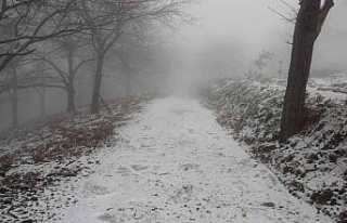 Aydın’da kar yağacak