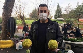 Bergamot, pazarın ilgi odağı oldu
