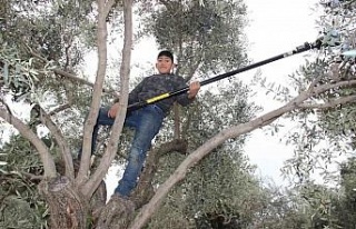 Kendisi küçük, becerisi büyük