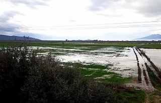 Söke’de yağışlar yaklaşık 2 bin 500 dönüm...