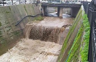 Yağan yağmur Tabakhane Deresi’ndeki suları yükseltti