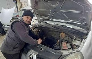 Zeytin sezonu Aydın’da tamircilere yaradı