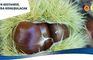 Aydın Kestanesi, çalıştayda konuşulacak