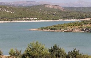 Aydın’da barajlar Şubat ayında da doldu, çiftçiler...