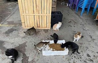 Buharkent’te can dostlar unutulmadı