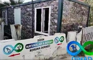 Didim’de hayvansever eşinin hayrına, barınağa...