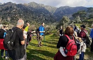 Doğaseverler, Şubat ayında baharı yaşadı